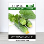 Насіння огірка Виноградна Гроно F1 інкрустований, 100г